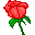 rose icon