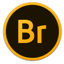Br icon