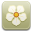 magnolia icon