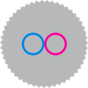 Flickr icon