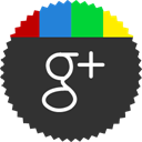 Google+ icon