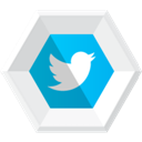 twitter icon