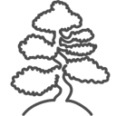 bonsai icon