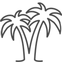 palms icon
