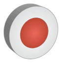 Record icon