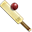 Cricket icon
