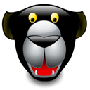 Bagueera icon