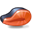 fish icon