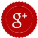 googlePlus icon