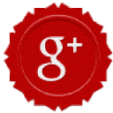 googlePlus1 icon