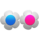 flickr icon