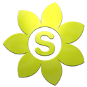 skype icon