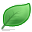 leaf icon