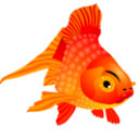 fish icon