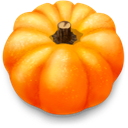 Pumpkin icon
