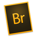 Br icon