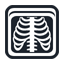 x-ray icon