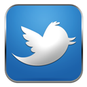 twitter icon