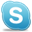 Skype icon