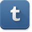 Tumblr icon