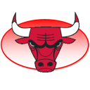 Bulls icon