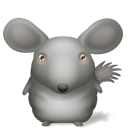 chinchilla icon