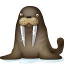 walrus icon