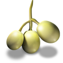 grapes icon
