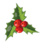 Christmas-Mistletoe-Icon