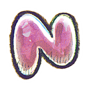 G12_Office_OneNote icon