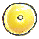 G12_Office_Outlook icon