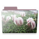 flowers-folder icon