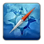 Browser icon