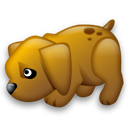 dog icon