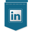 Linkedin icon