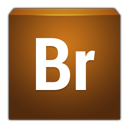 Br icon