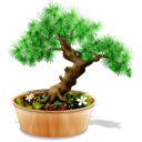 bonsaï icon