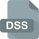 DSS icon