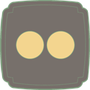 Flickr icon