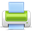 print icon