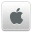 apple icon