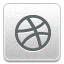 dribbble icon