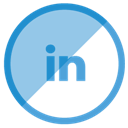 Linkedin icon