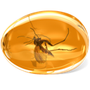 Amber icon