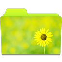 Sunflower icon