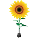 sunflower icon
