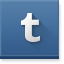 Tumblr icon