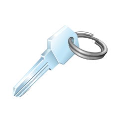 key icon 256x256px (ico, png, icns) - free download | Icons101.com