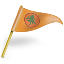 Flags icon