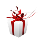 Giftbox icon